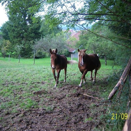 2 Chambres D'Hotes Privees Louees Separement Avec Communs A Partager Beaufort  외부 사진